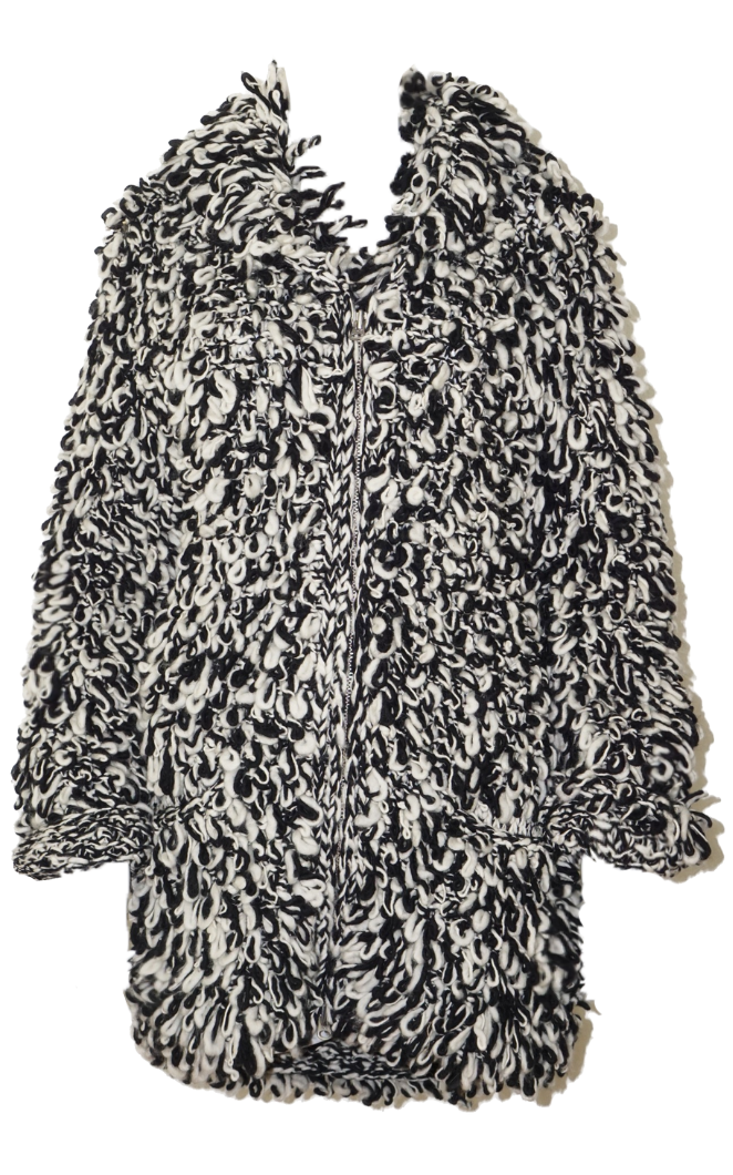 ISABEL MARANT X H&M Shaggy Wool Zip Coat