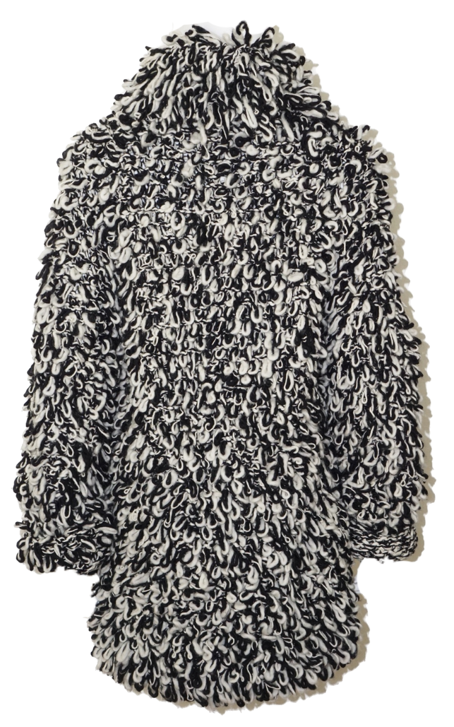 ISABEL MARANT X H&M Shaggy Wool Zip Coat